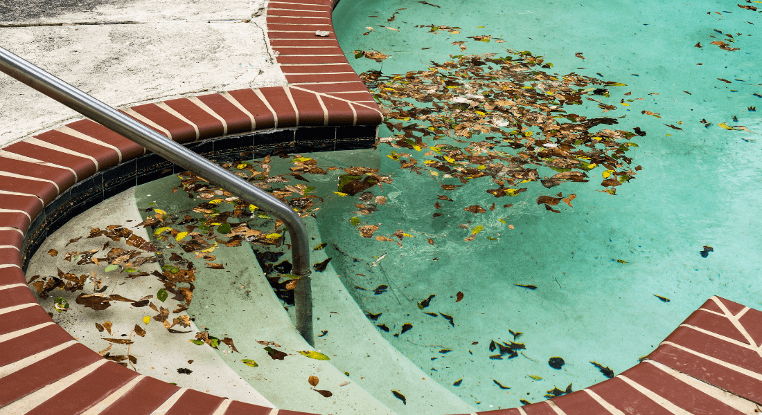 Swimming pool corner with brown leaf debris on water surface, brick border, metal handrail, and steps leading into the pool.